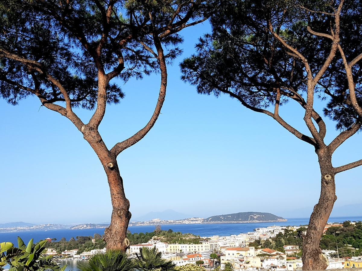 Apartamento Ischia Dream Visions Exterior foto