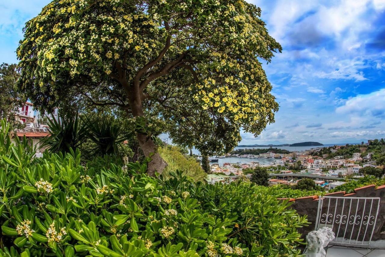 Apartamento Ischia Dream Visions Exterior foto