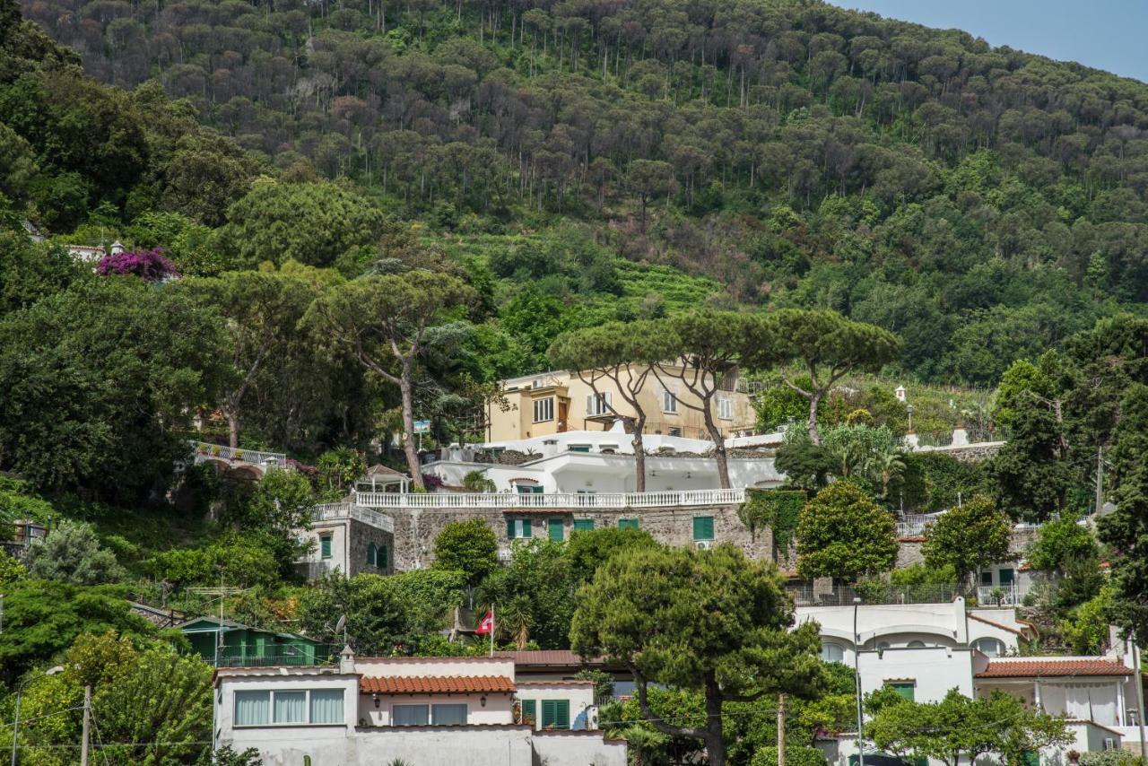 Apartamento Ischia Dream Visions Exterior foto